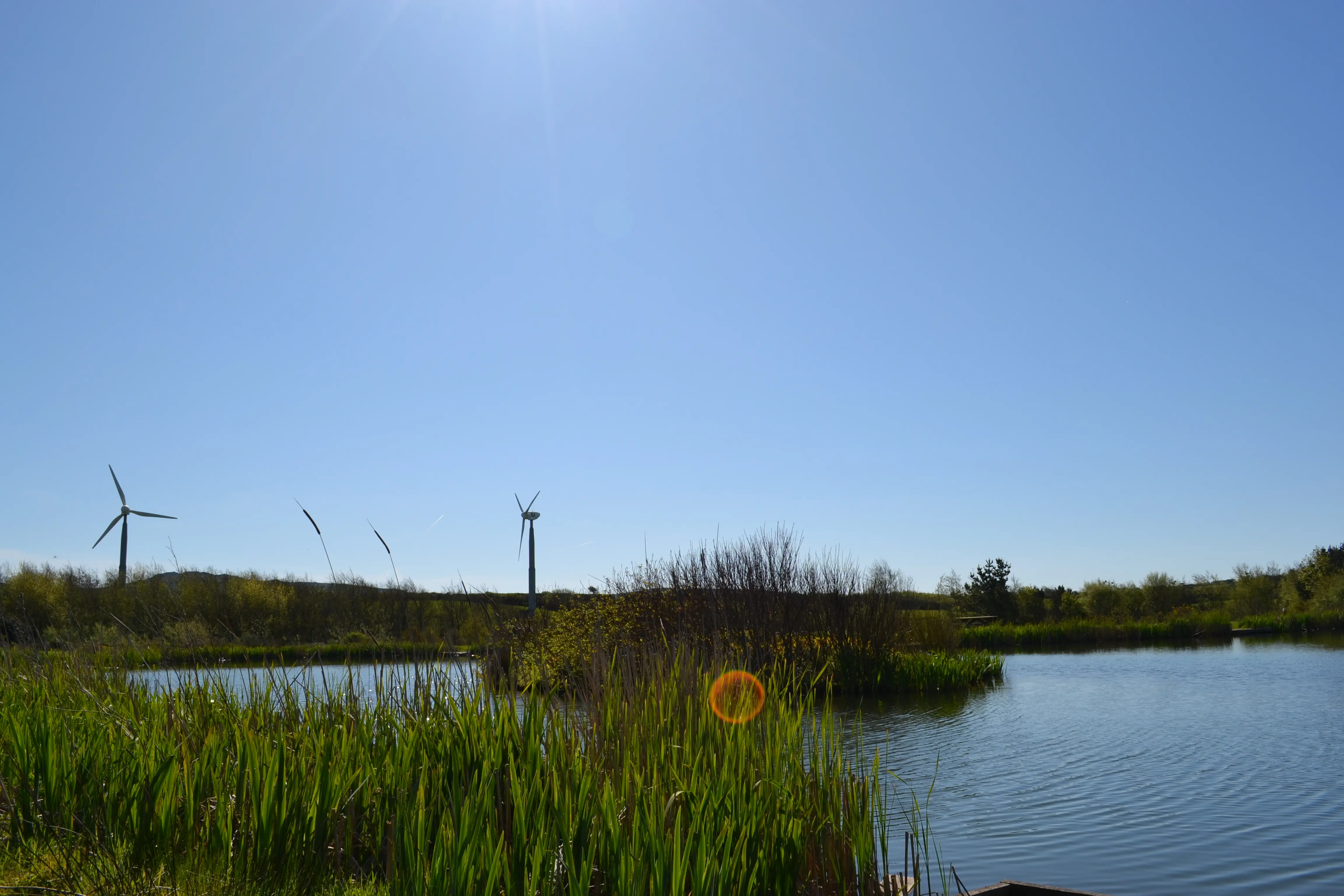 Fishing at Bodrydd Lakes