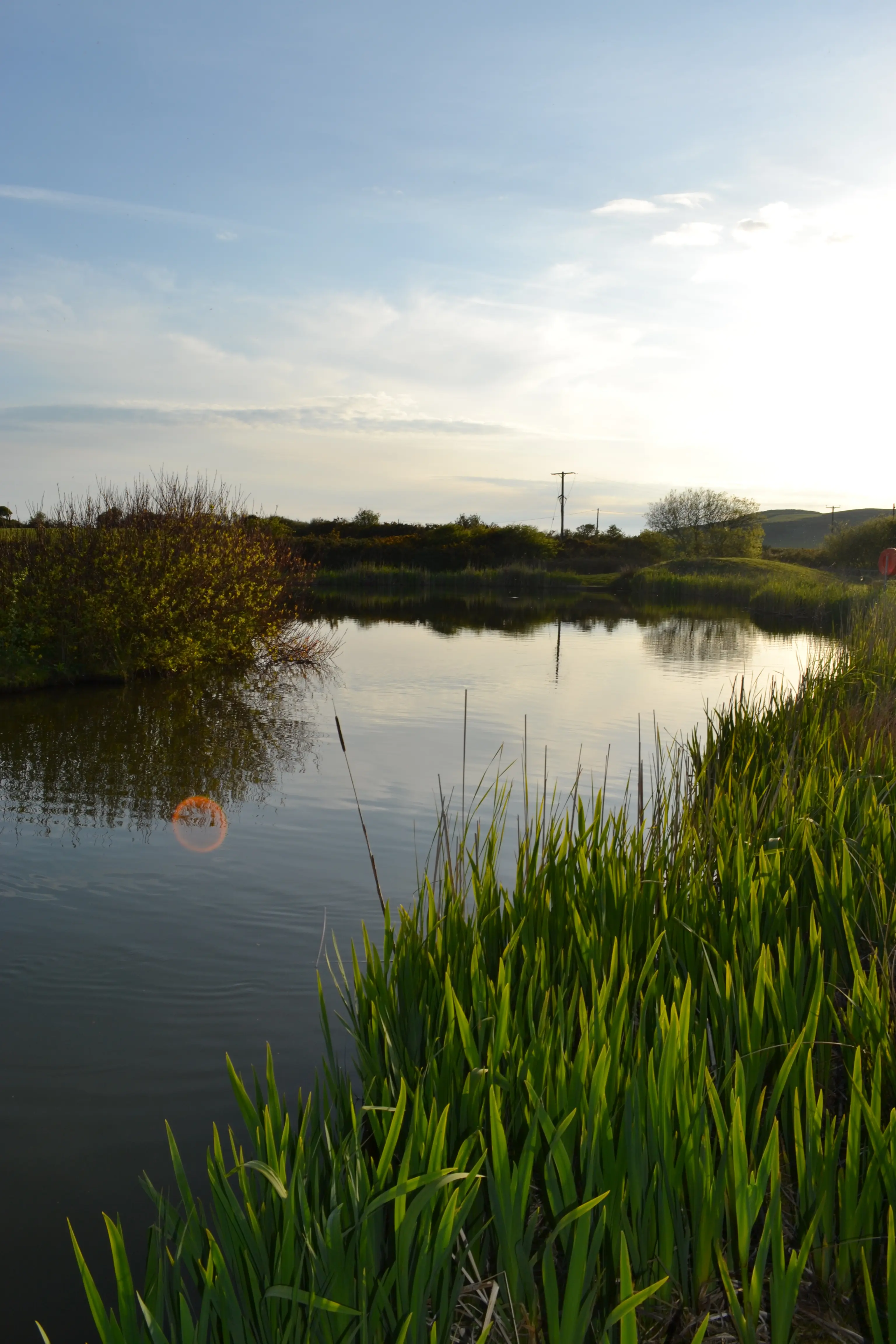Fishing at Bodrydd Lakes